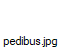 pedibus.jpg