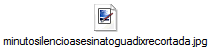 minutosilencioasesinatoguadixrecortada.jpg