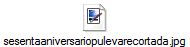 sesentaaniversariopulevarecortada.jpg