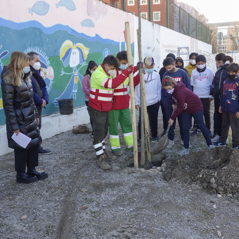 ©Ayto.Granada: EL AYUNTAMIENTO DE GRANADA PLANTAR 693 NUEVOS RBOLES EN LA CIUDAD ENTRE OCTUBRE Y MARZO 