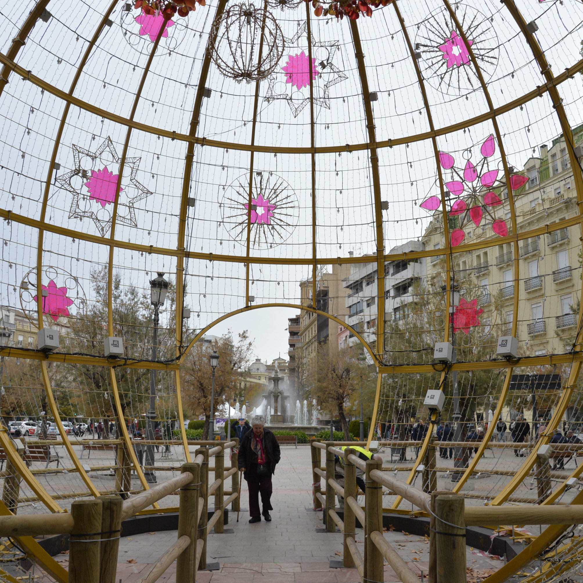 ©Ayto.Granada: El entrenador del Granada Club de Ftbol y representantes de la asociacin Granada de Down encienden el alumbrado de Navidad