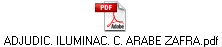 ADJUDIC. ILUMINAC. C. ARABE ZAFRA.pdf