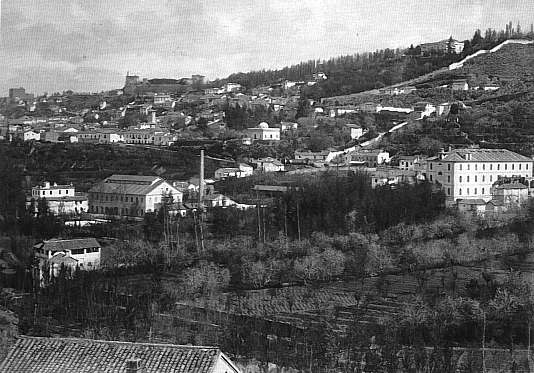 Panormica