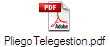 PliegoTelegestion.pdf