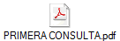 PRIMERA CONSULTA.pdf