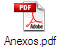 Anexos.pdf