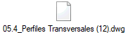 05.4_Perfiles Transversales (12).dwg