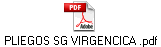 PLIEGOS SG VIRGENCICA .pdf
