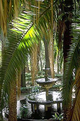 Fuente Fundaci�n Rodriguez-Acosta