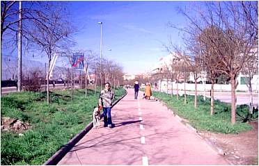 Ayto.Granada: Transportes