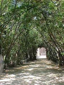 Palacio de los C�rdova