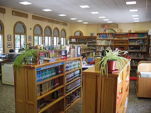 &copy;ayto.granada: biblioteca del sal�n