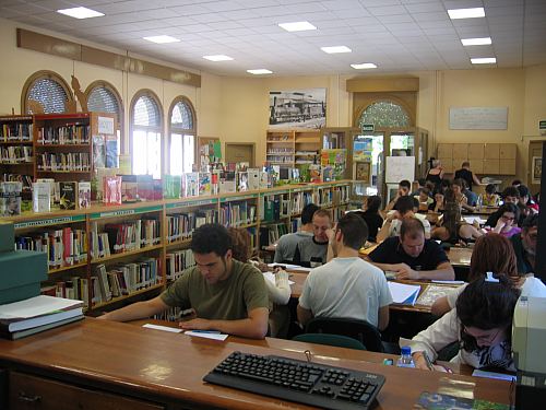 &copy;ayto.granada: biblioteca del sal�n