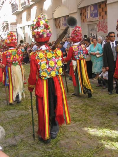 &copy;ayto.granada: representaci�n de beznar