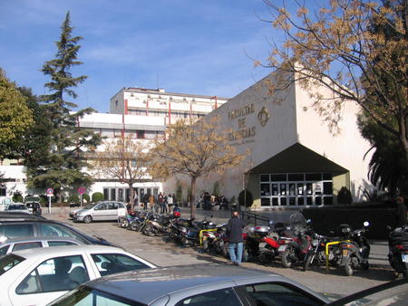 Ayto.Granada: Universidad/facultadas