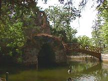 Isla del Lago Isla del lago