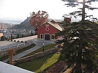 Vista del mirador, cedro y Pabellón de las Calesas