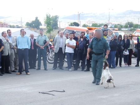 Jornadas de Emergencias