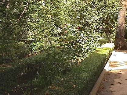 C�rmen de los M�rtires