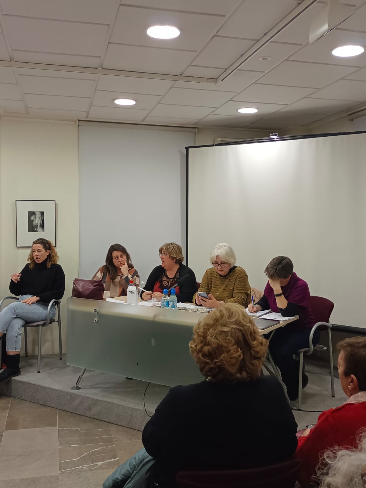 Sesi�n Consejo Mujer 04