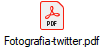 Fotografia-twitter.pdf