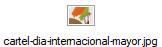 cartel-dia-internacional-mayor.jpg