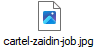 cartel-zaidin-job.jpg