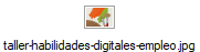 taller-habilidades-digitales-empleo.jpg