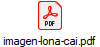 imagen-lona-cai.pdf