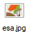 esa.jpg