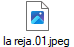 la reja.01.jpeg
