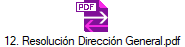 12. Resolucin Direccin General.pdf