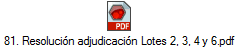 81. Resolucin adjudicacin Lotes 2, 3, 4 y 6.pdf