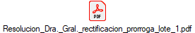 Resolucion_Dra._Gral._rectificacion_prorroga_lote_1.pdf