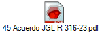 45 Acuerdo JGL R 316-23.pdf