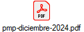 pmp-diciembre-2024.pdf