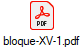 bloque-XV-1.pdf