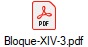 Bloque-XIV-3.pdf