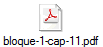 bloque-1-cap-11.pdf