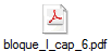 bloque_I_cap_6.pdf