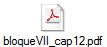 bloqueVII_cap12.pdf