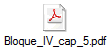 Bloque_IV_cap_5.pdf