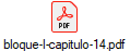 bloque-I-capitulo-14.pdf