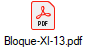 Bloque-XI-13.pdf