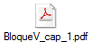 BloqueV_cap_1.pdf