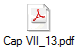 Cap VII_13.pdf