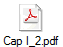 Cap I_2.pdf