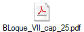 BLoque_VII_cap_25.pdf