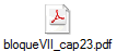 bloqueVII_cap23.pdf