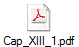 Cap_XIII_1.pdf